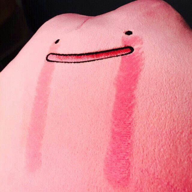 윌리쮸 프로필