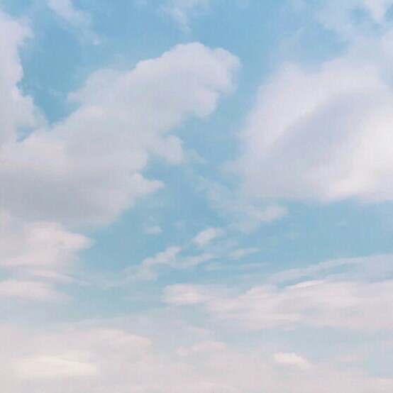 리뷰어 프로필