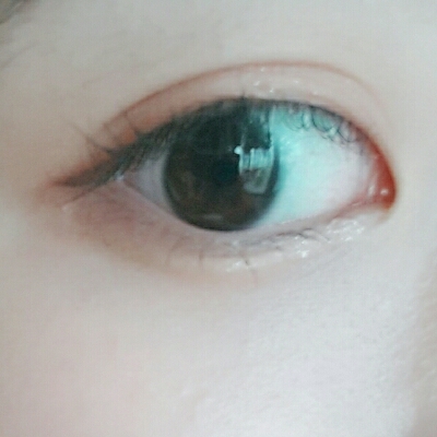 언니곰 프로필