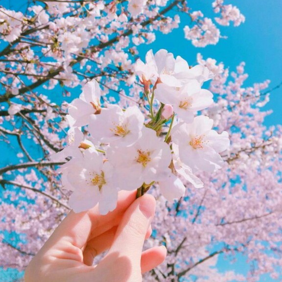 으니으니으니으니 프로필