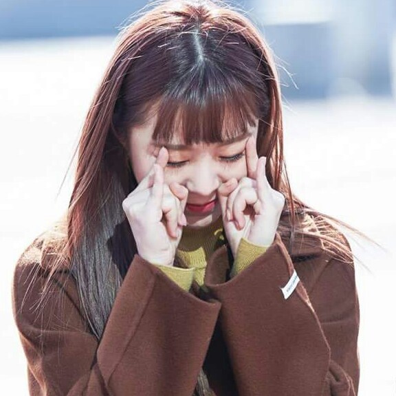 꼬모찡찡 프로필
