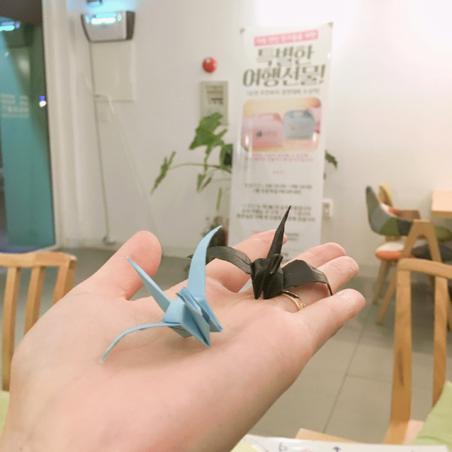 ㅇㅎㅇㅎㅈ 프로필