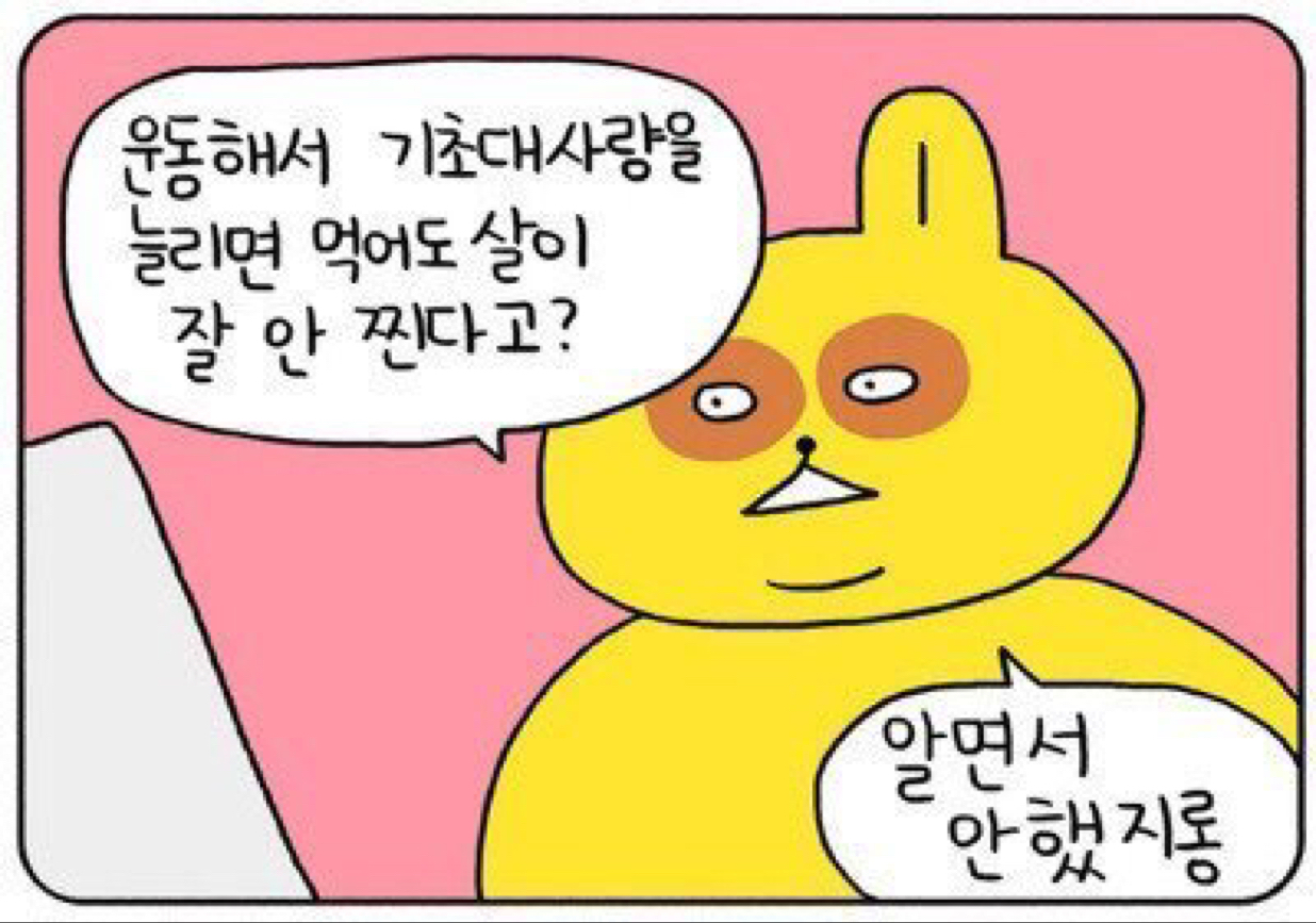 bcd지니닝 프로필