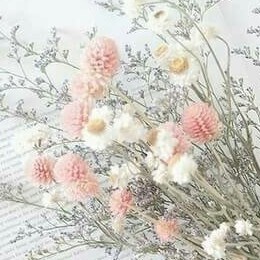 리뷰어 프로필