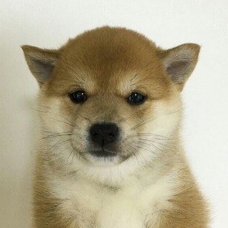 22222222 프로필