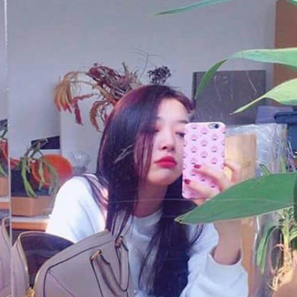 포뇨랑 프로필