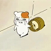 슈가슈가설탕 프로필