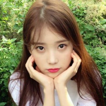 토끼토끼토끼 프로필