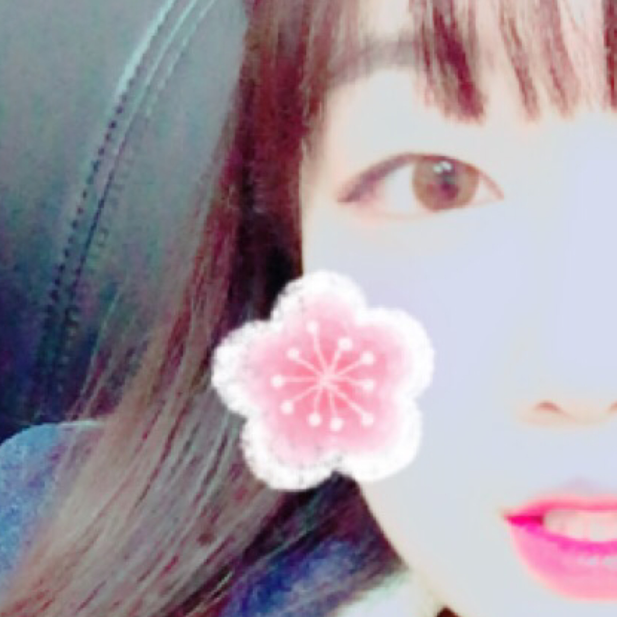 김택지양치좀해 프로필