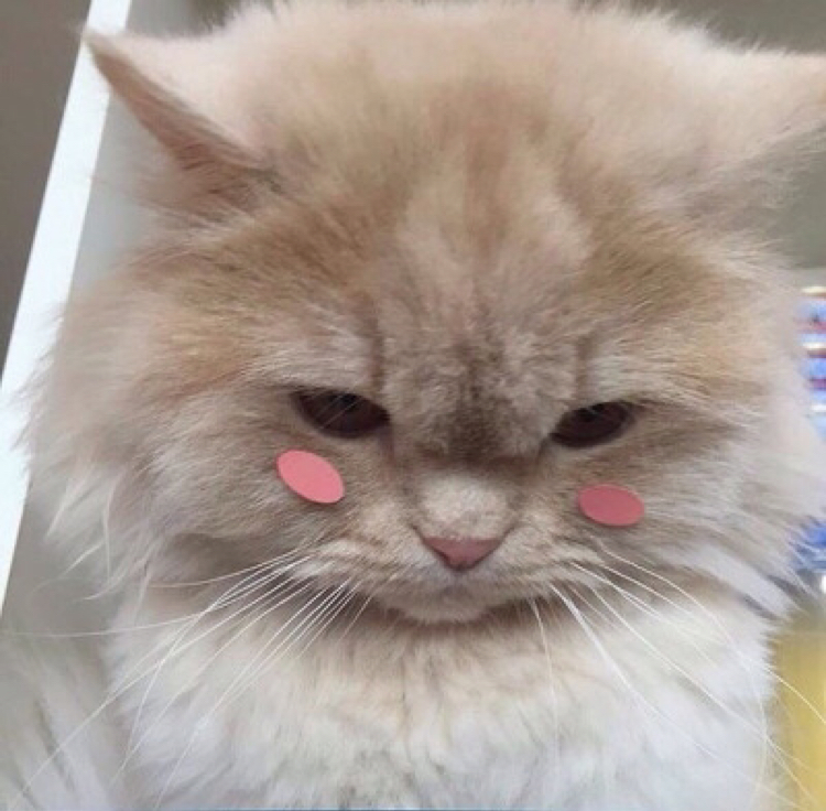 윤토끼 프로필