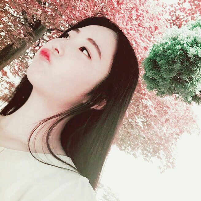chae17 프로필