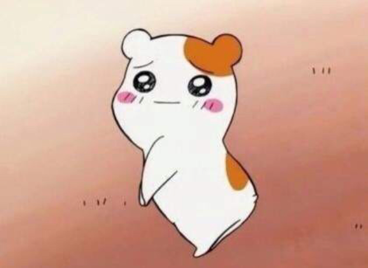 우기부기 프로필