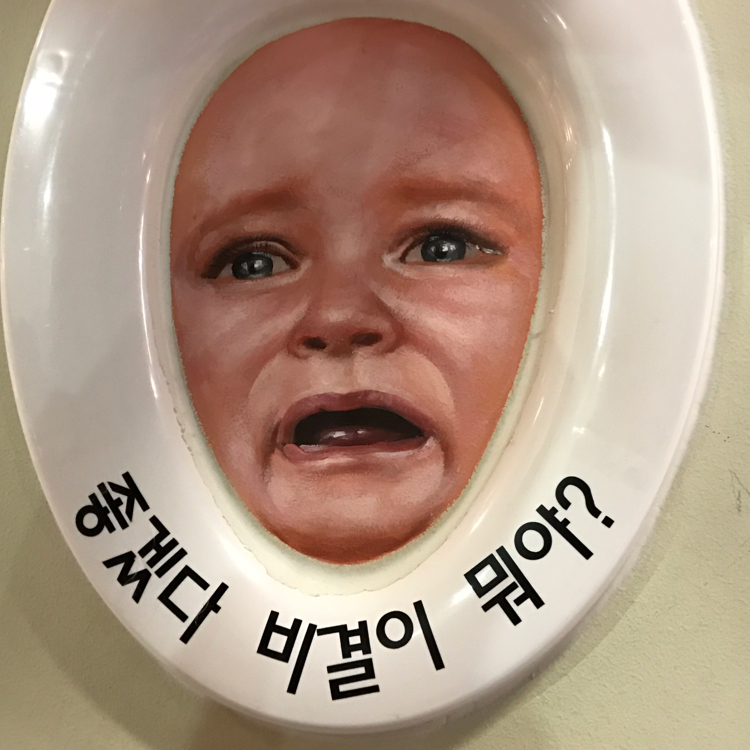 연두년 프로필
