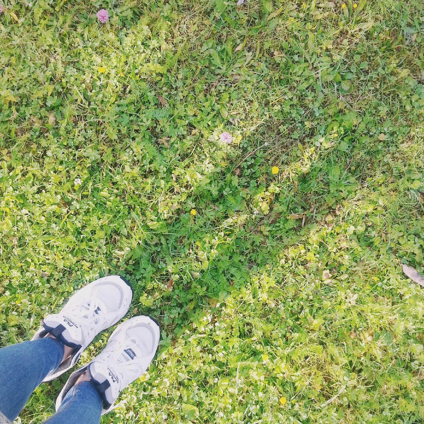 꼼돌이 프로필