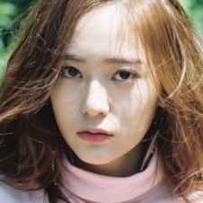 코덕스티치 프로필