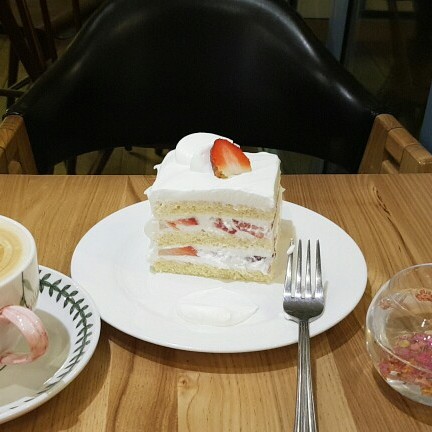 라헬라 프로필