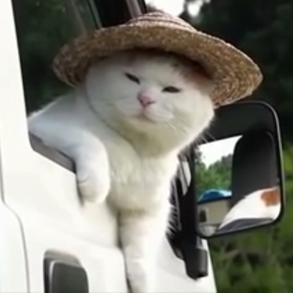 태민이 프로필