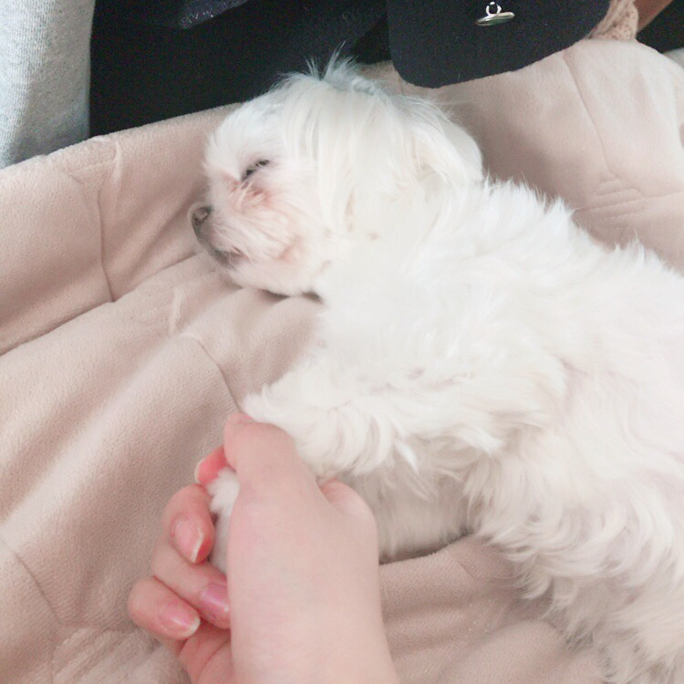 jinzzang 프로필