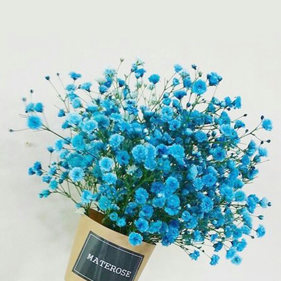 26 프로필