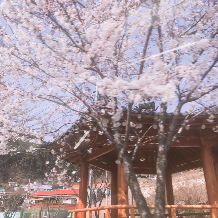 아에이오유아 프로필