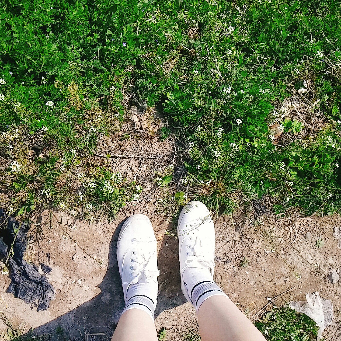 수니나 프로필