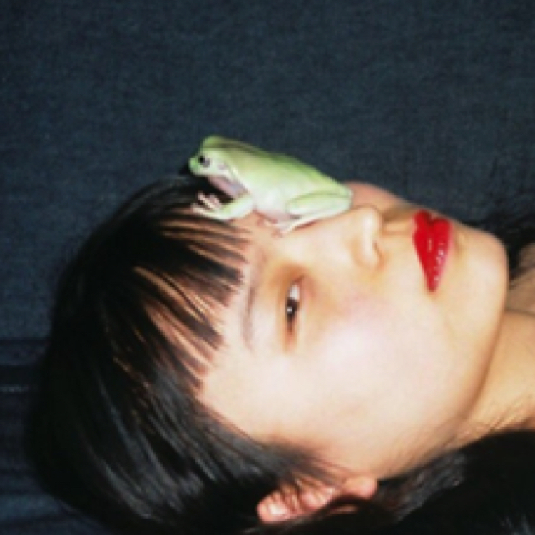 그름 프로필