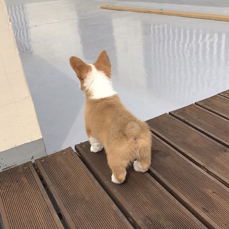 bubblyy 프로필