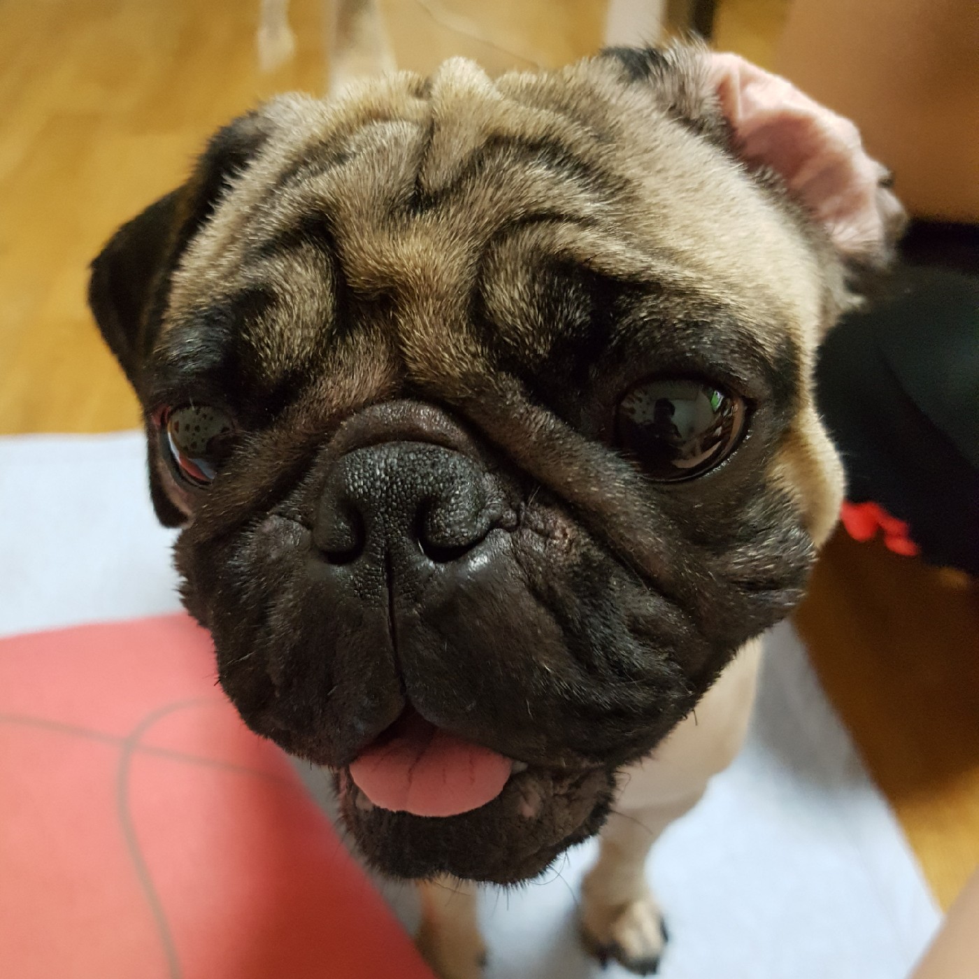 김봉식 프로필