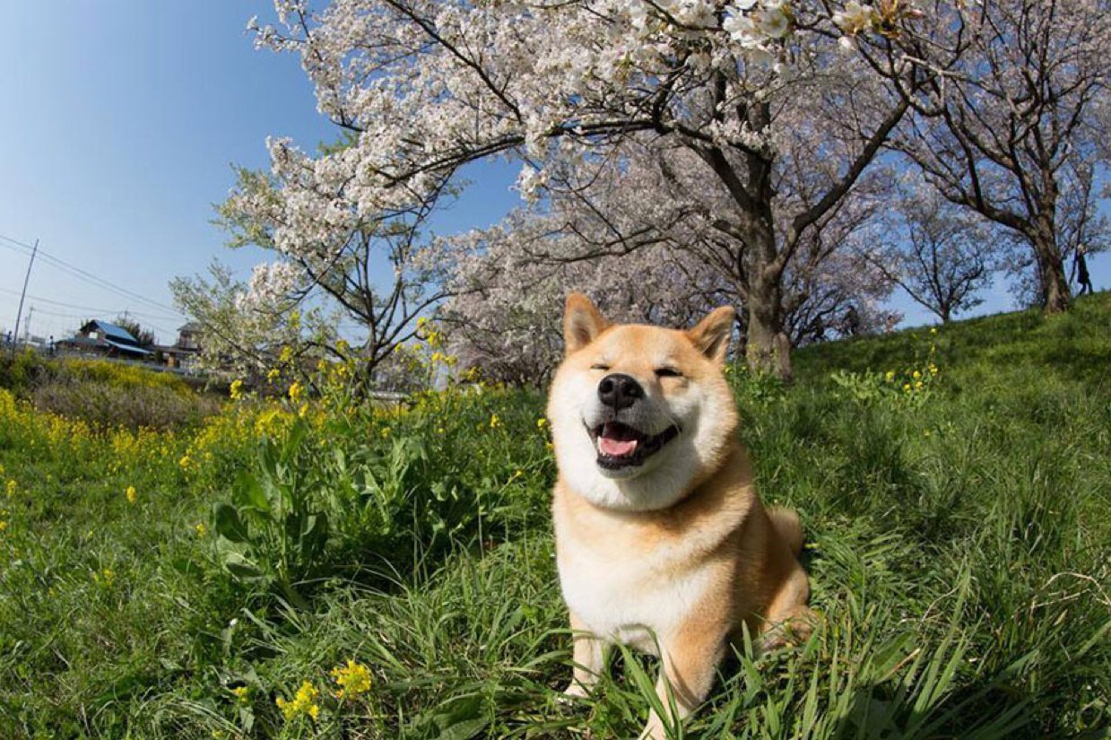 황윤복 프로필