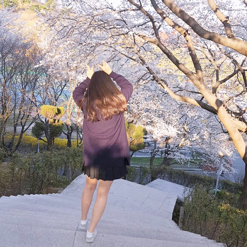 손썬 프로필