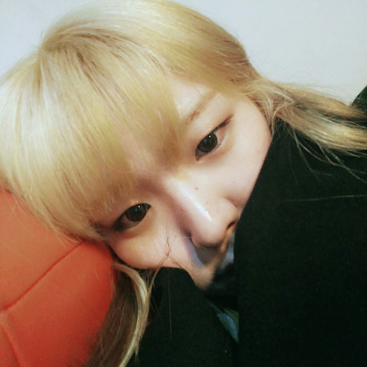 음샤 프로필