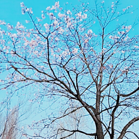 리뷰어 프로필