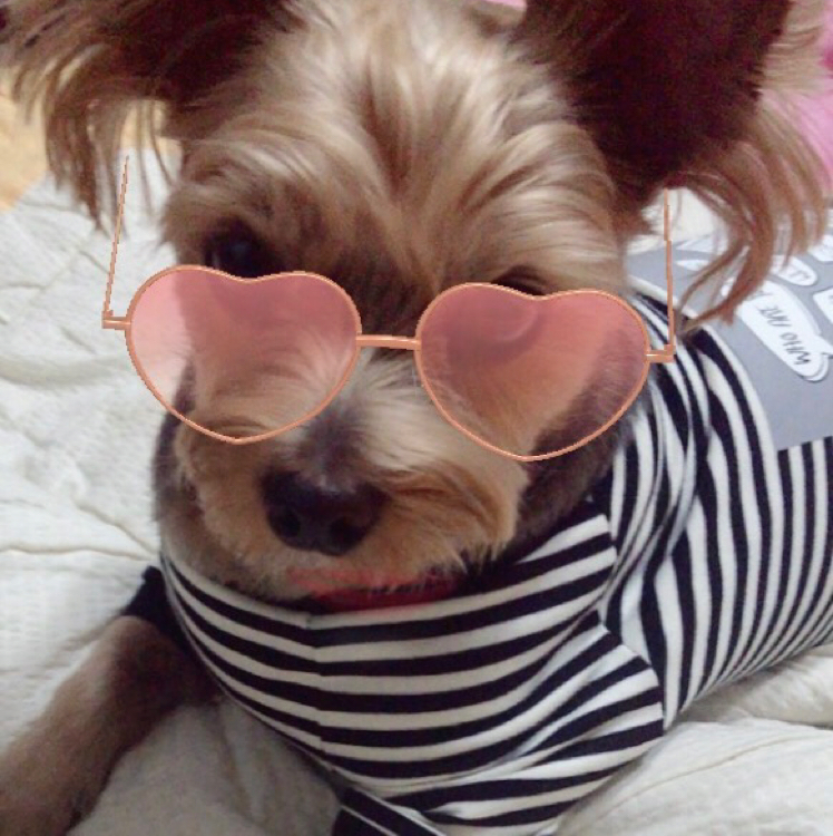 리뷰어 프로필