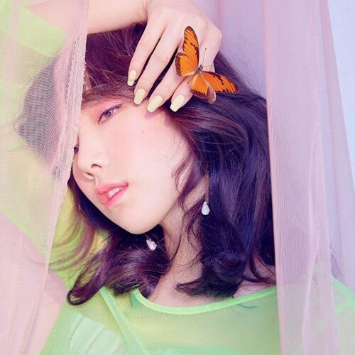 성채은 프로필