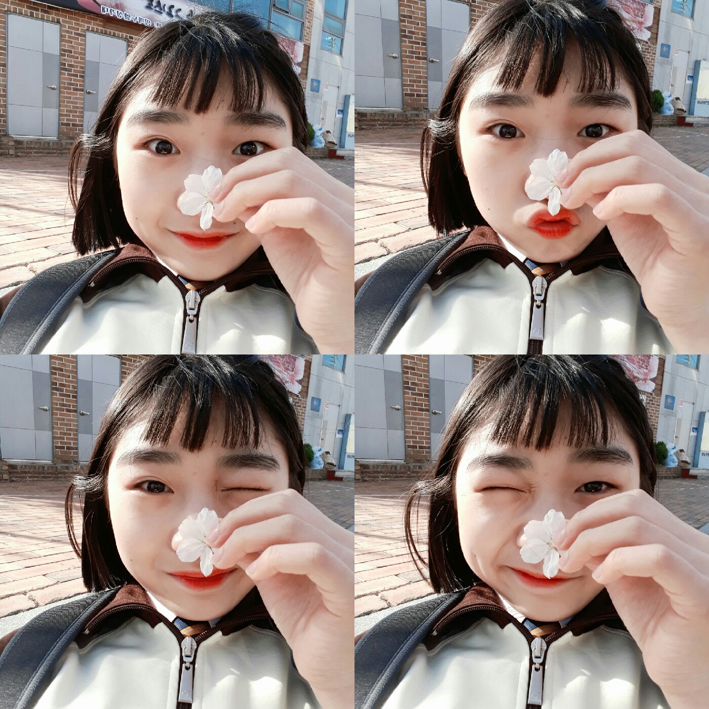 세젤귀채빈찌 프로필
