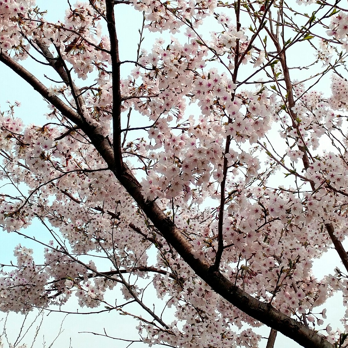 hey0819 프로필