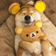 히히힛히히힛
