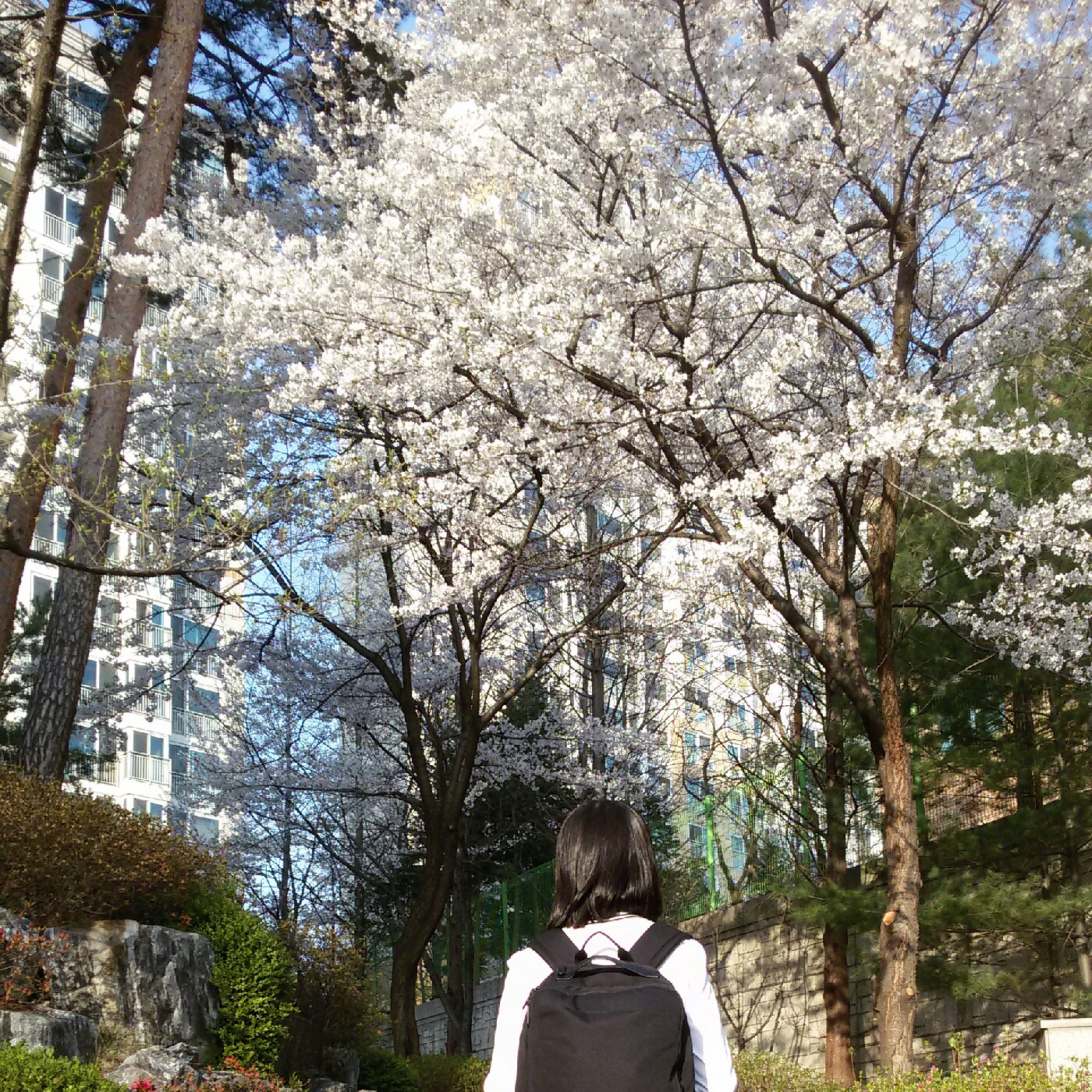 REVEIW 프로필