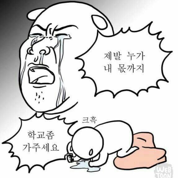 JewBEE 프로필