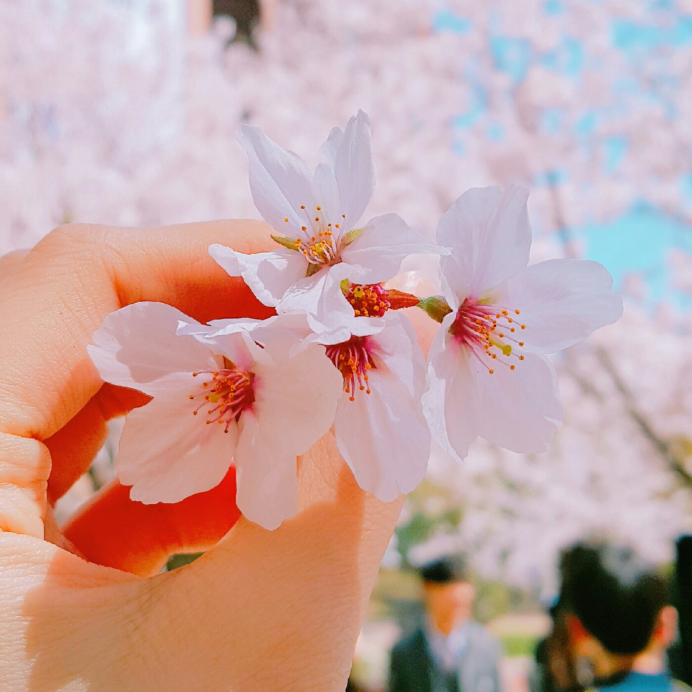 리뷰어 프로필