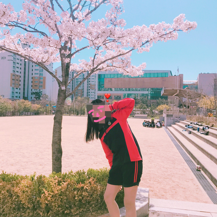 다연꿍 프로필