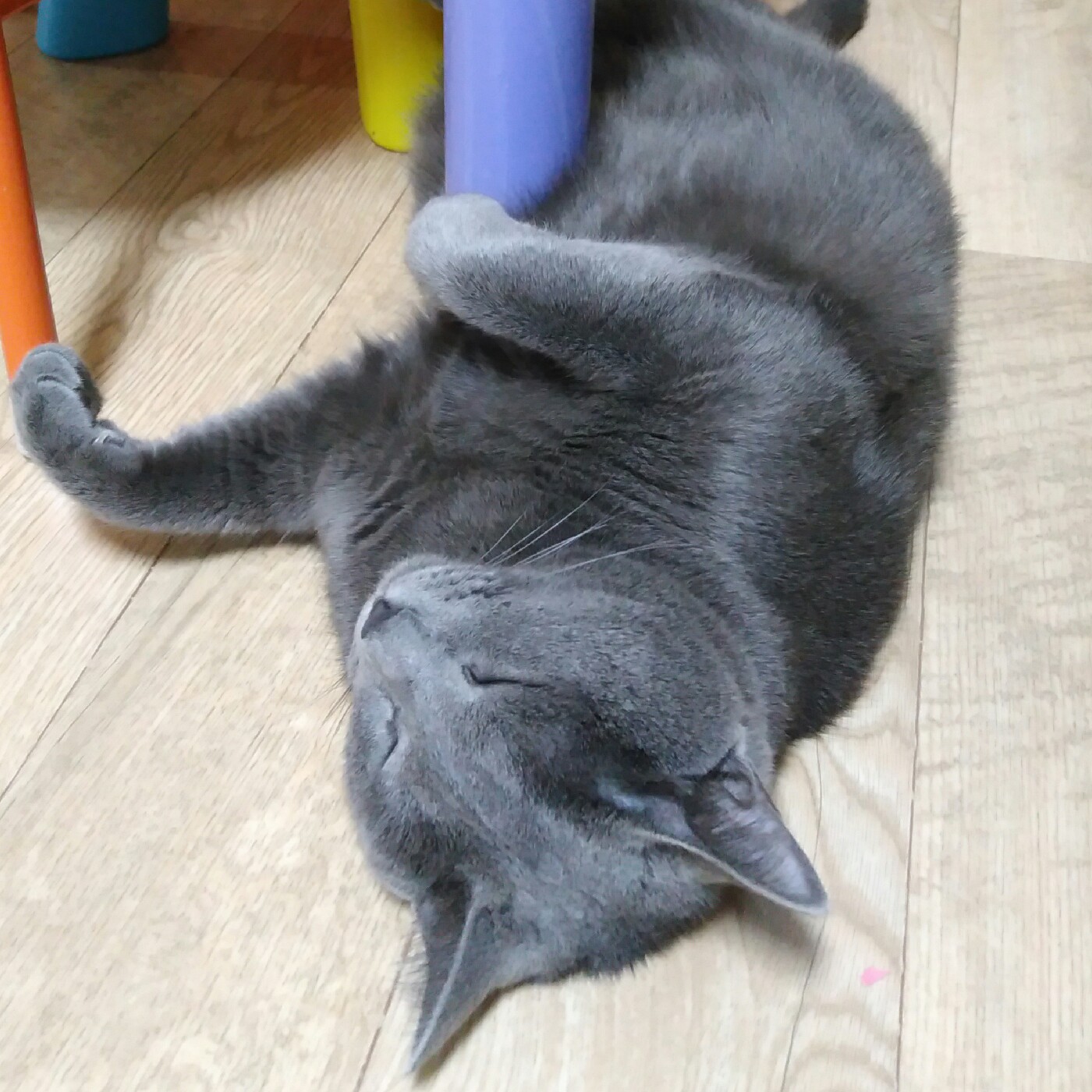 캐시머니 프로필
