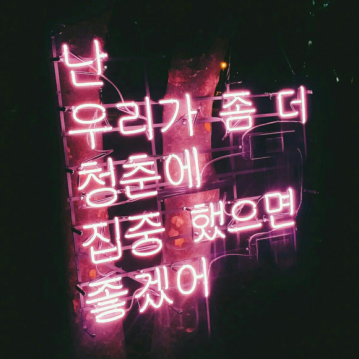 서뉴뉴 프로필