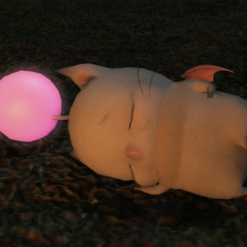 whited 프로필