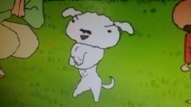 슈밍슈밍해 프로필