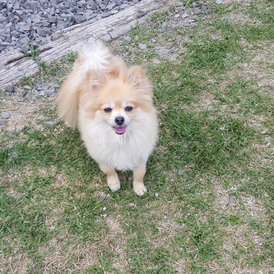 꼭지언니 프로필