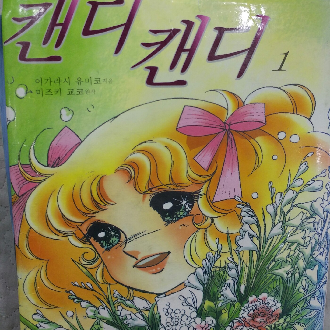 캔디스 프로필