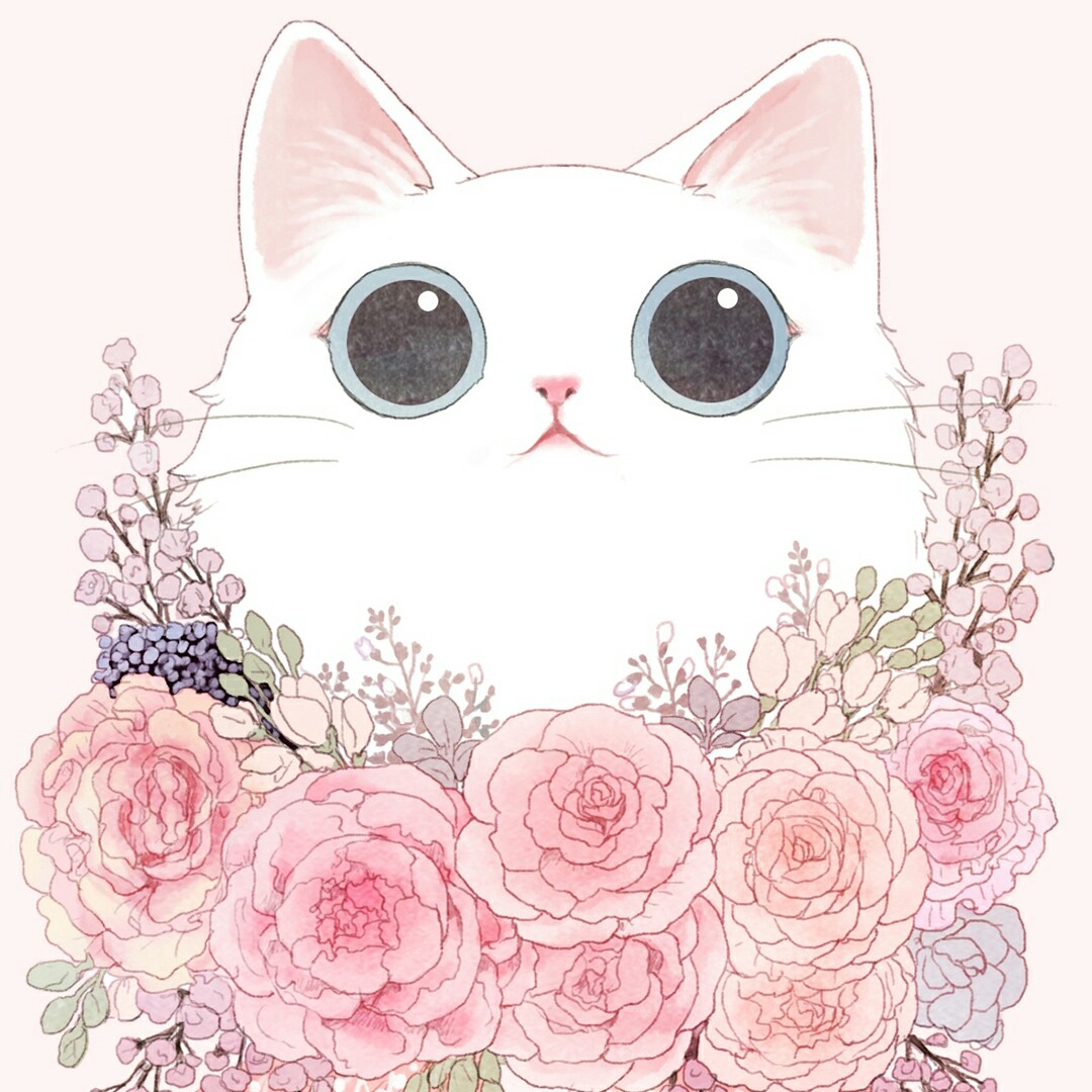 gidskd 프로필