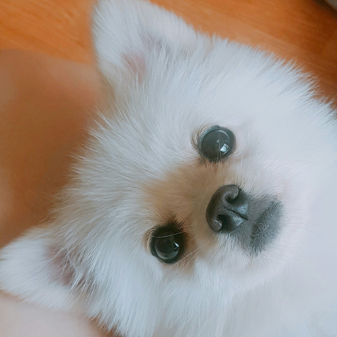 박정은ㅇㅇ 프로필