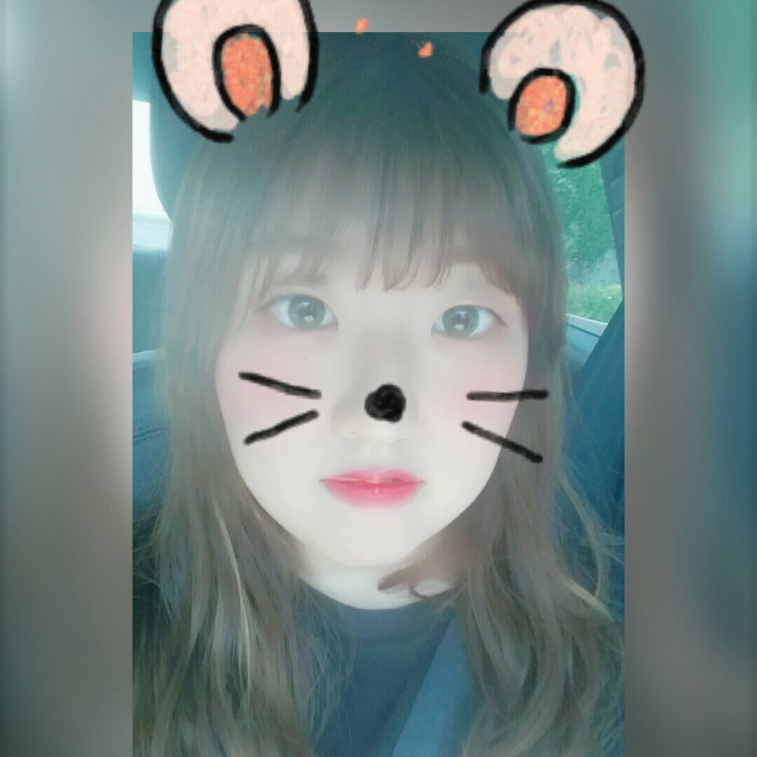 밤밤밤밤 프로필